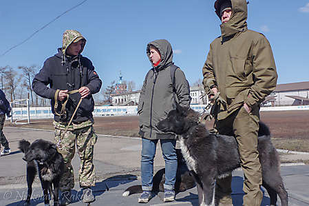 Участники выставки