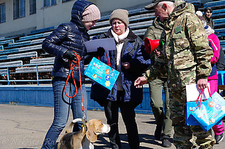 Награждение участников ринга гончих