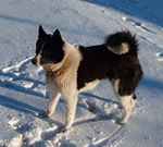 Betty_6425_19.jpg
