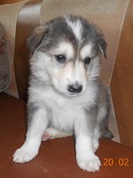 DSCN1454.jpg