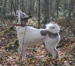 IMG_0453.jpg