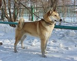 IMG_1060.jpg