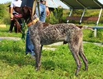 IMG_1678.jpg
