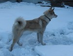 IMG_3832.jpg