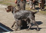 IMG_5493.jpg