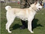 belay_irkutsk.jpg