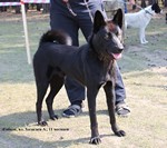 sobol_ayushinova_1-1.jpg