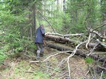 taiga_ispyt.jpg